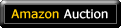 Amazon Auction